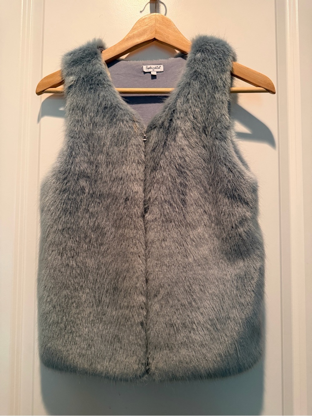 Splendid Gray Faux Fur Vest - Plush Women's Layering Piece